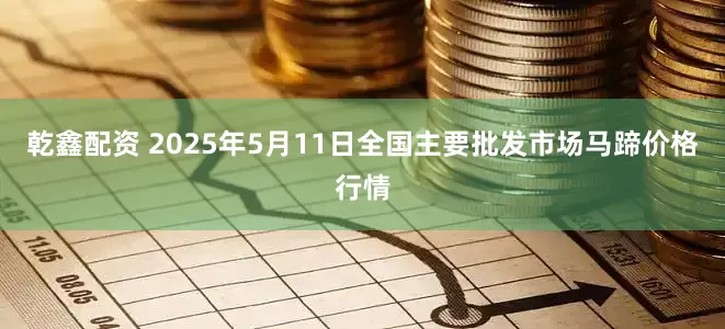 乾鑫配资 2025年5月11日全国主要批发市场马蹄价格行情