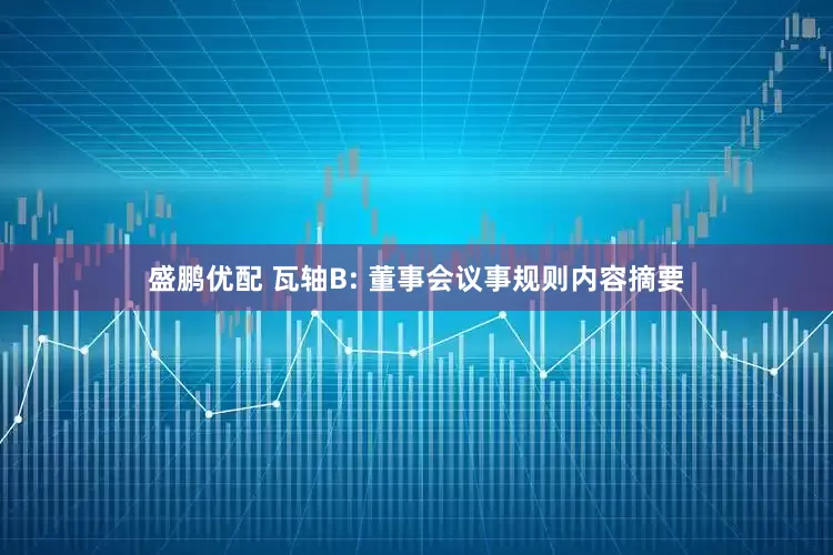 盛鹏优配 瓦轴B: 董事会议事规则内容摘要