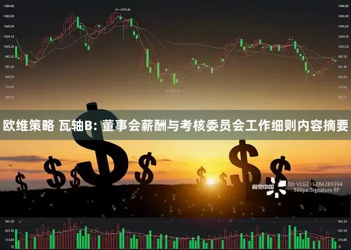 欧维策略 瓦轴B: 董事会薪酬与考核委员会工作细则内容摘要