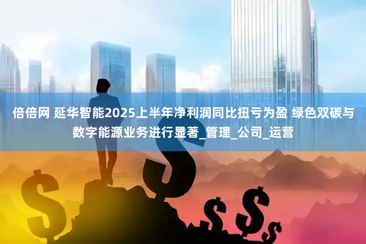 倍倍网 延华智能2025上半年净利润同比扭亏为盈 绿色双碳与数字能源业务进行显著_管理_公司_运营